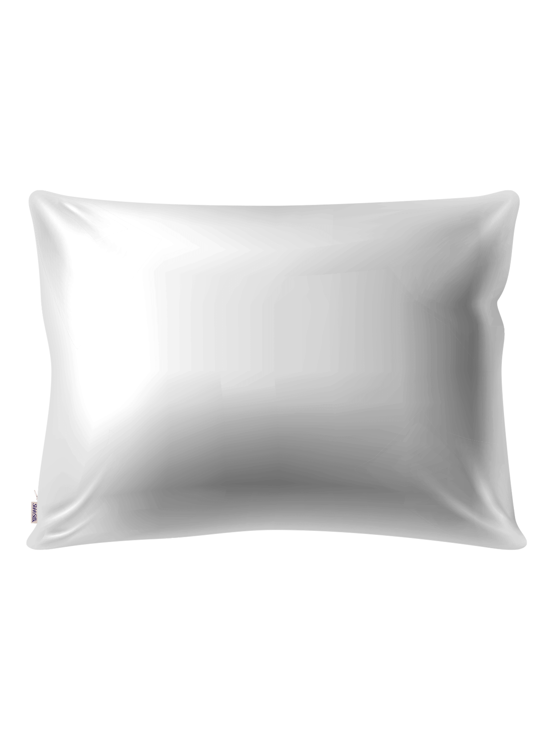 2 Grey Silk Pillowcases - Queen Size - Zippered