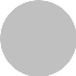Metallic Silver